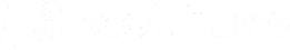 logo-bsoft-tms-branco-novo (2)